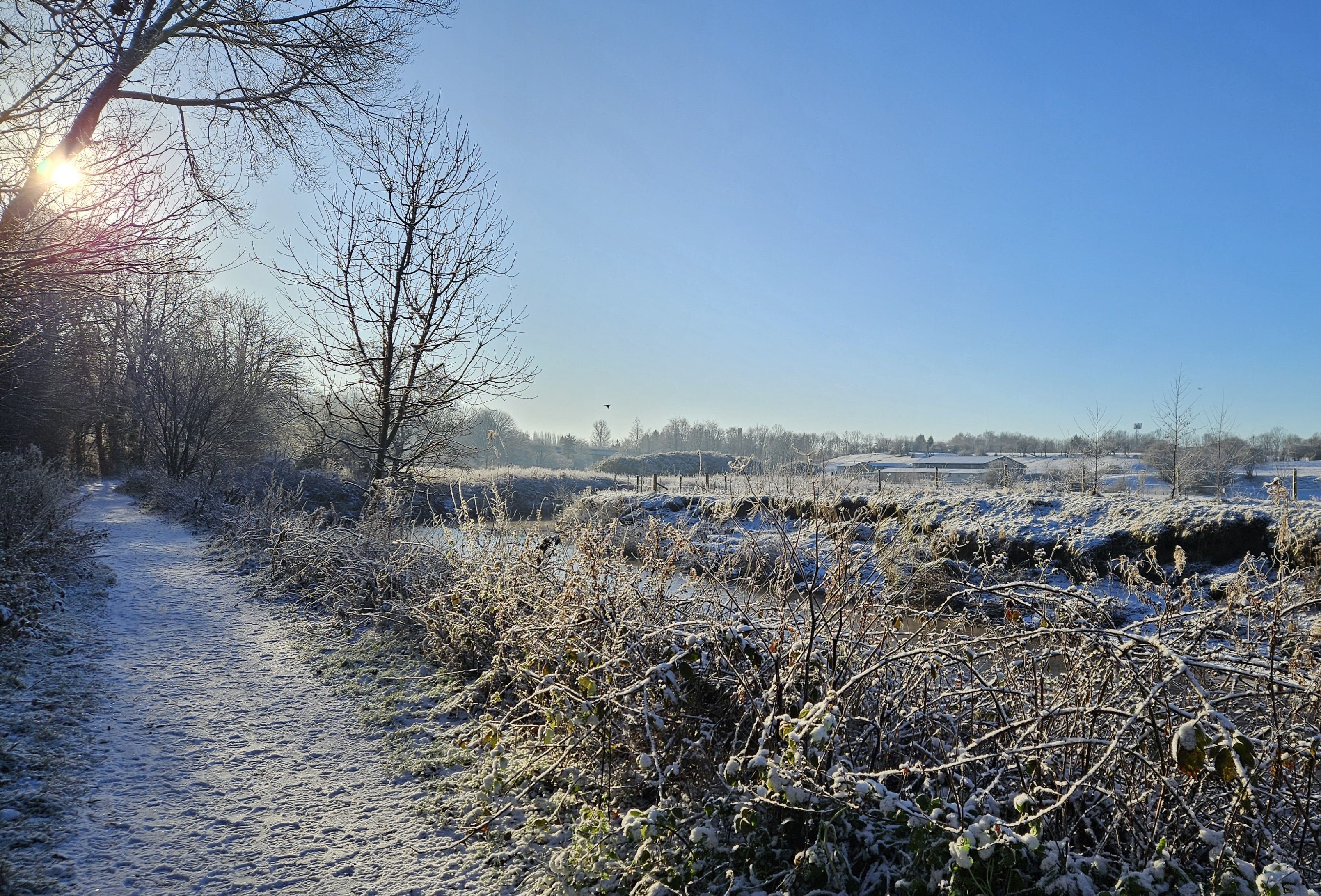 Monthly Roundup – January.
