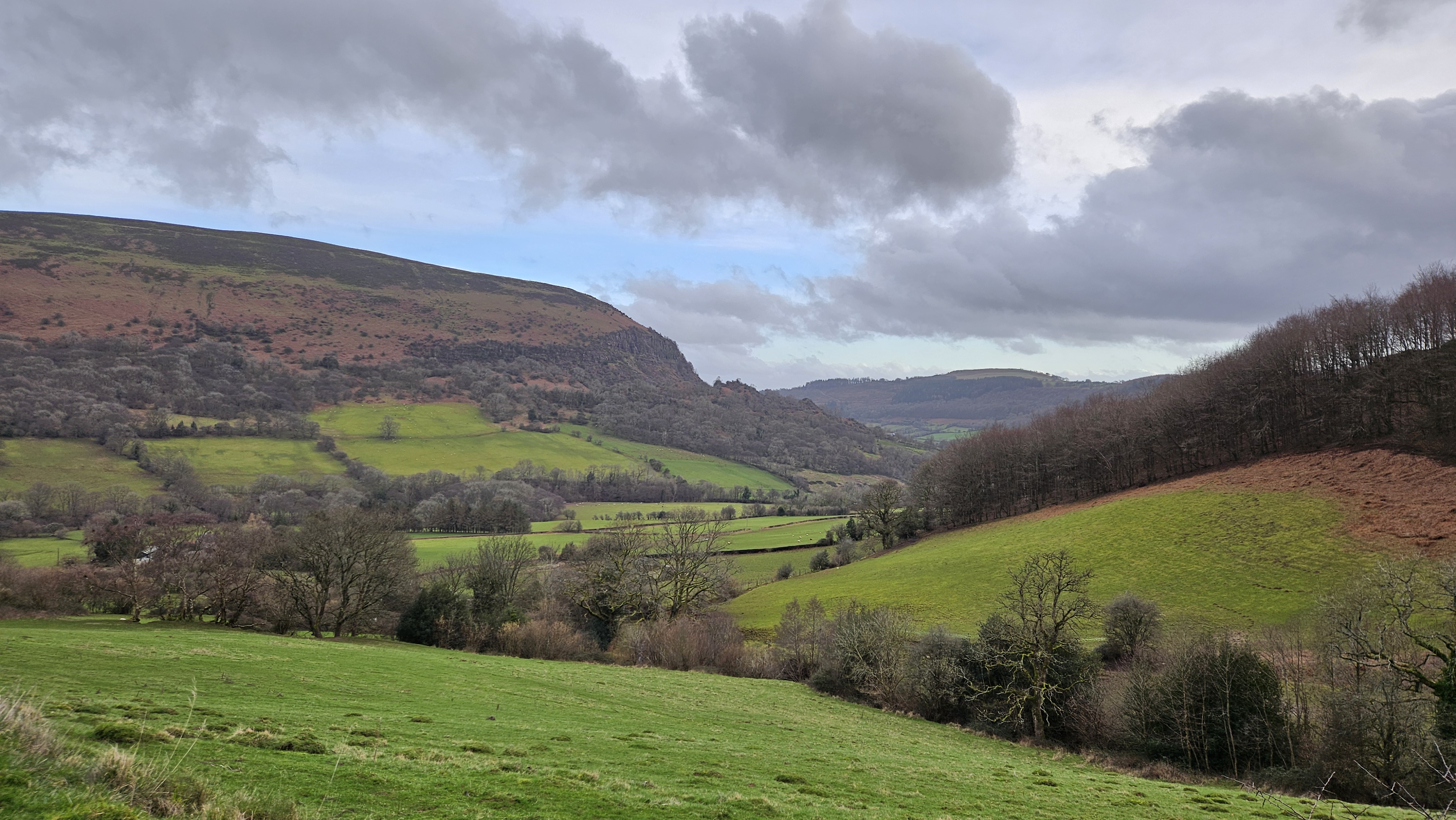 Monthly Roundup – February.