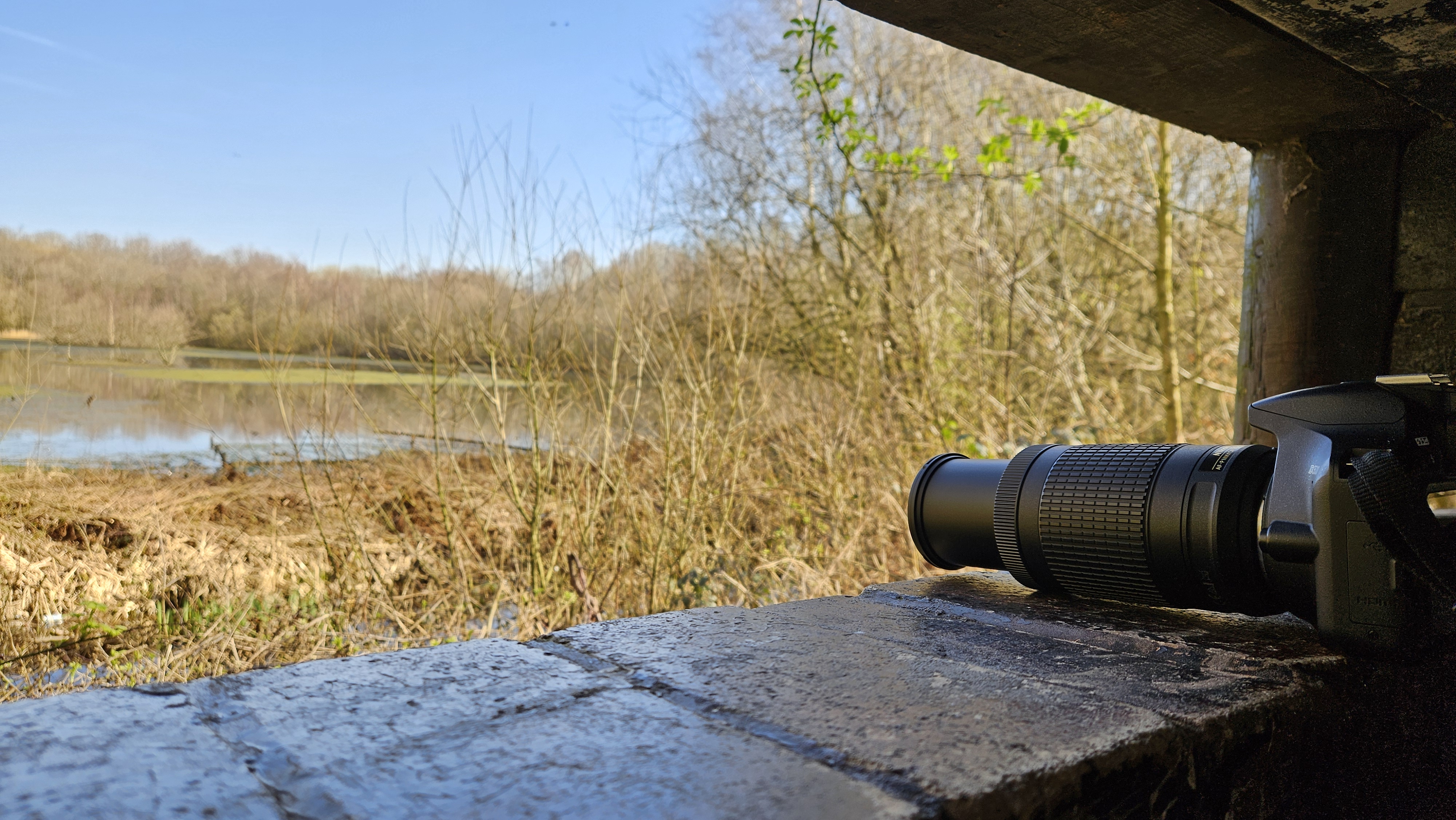 Monthly Roundup – March.